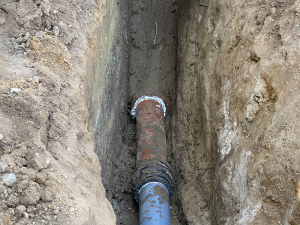 Best Flood restoration services  in Big Rock, IL