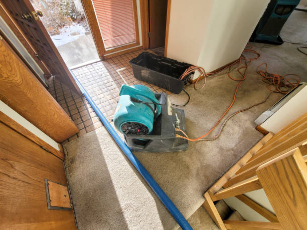 Trusted Big Rock, IL Water damage restoration Experts