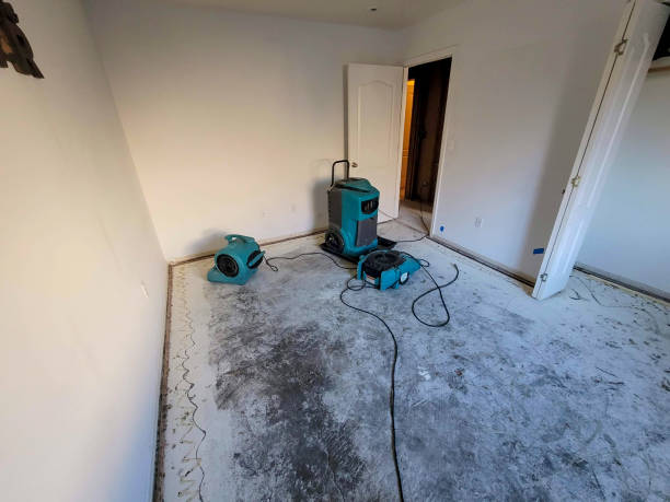 Best Local water damage restoration  in Big Rock, IL