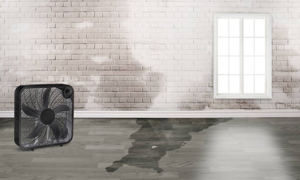 Best Commercial water damage restoration  in Big Rock, IL
