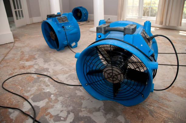 Best Water damage cleanup near me  in Big Rock, IL
