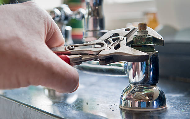 Best Water damage restoration mold remediation  in Big Rock, IL