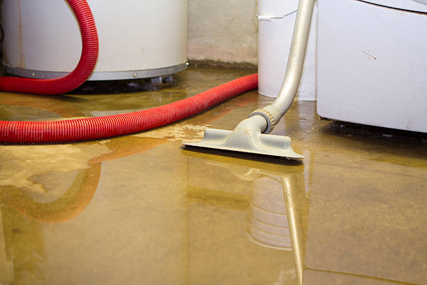 Best Ceiling water damage repair  in Big Rock, IL