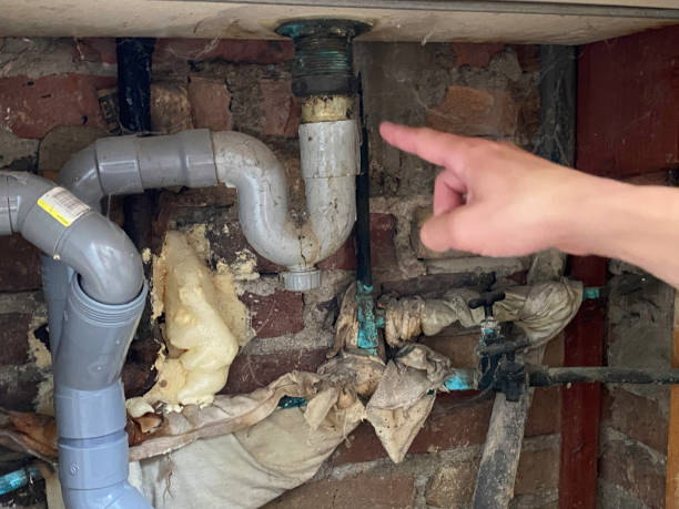 Best Water damage mitigation services  in Big Rock, IL