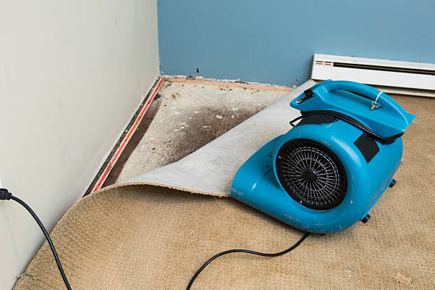 Best Residential water damage restoration  in Big Rock, IL
